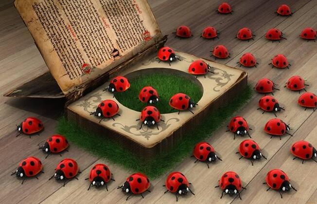 Ladybug - simbol bantuan ilahi, perlindungan