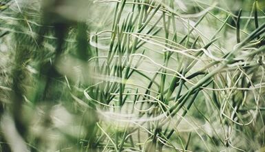 Cara membuat nasib baik dengan tangan anda sendiri