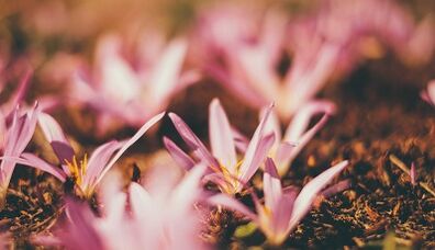 cara membuat nasib baik dengan tangan anda sendiri